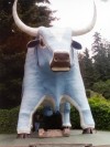 Babe the blue OX and Harmony leaning in his quite large ... yeah<