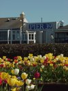 Awesome picture of the Pier 39 sign