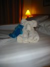 Every night we were suprised with a different towel animal on the turned-down bed