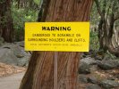 These signs were posted everywhere in Yosemite